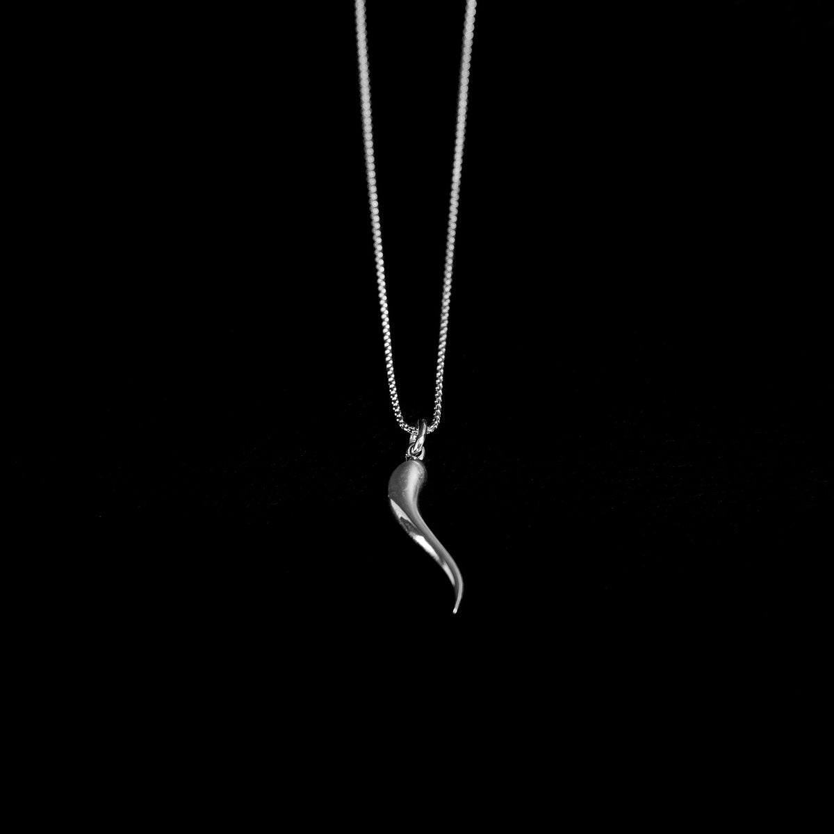 Cornicello | Pendant Necklace - 925 Silver