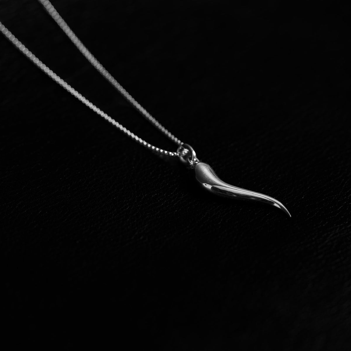 Cornicello | Pendant Necklace - 925 Silver