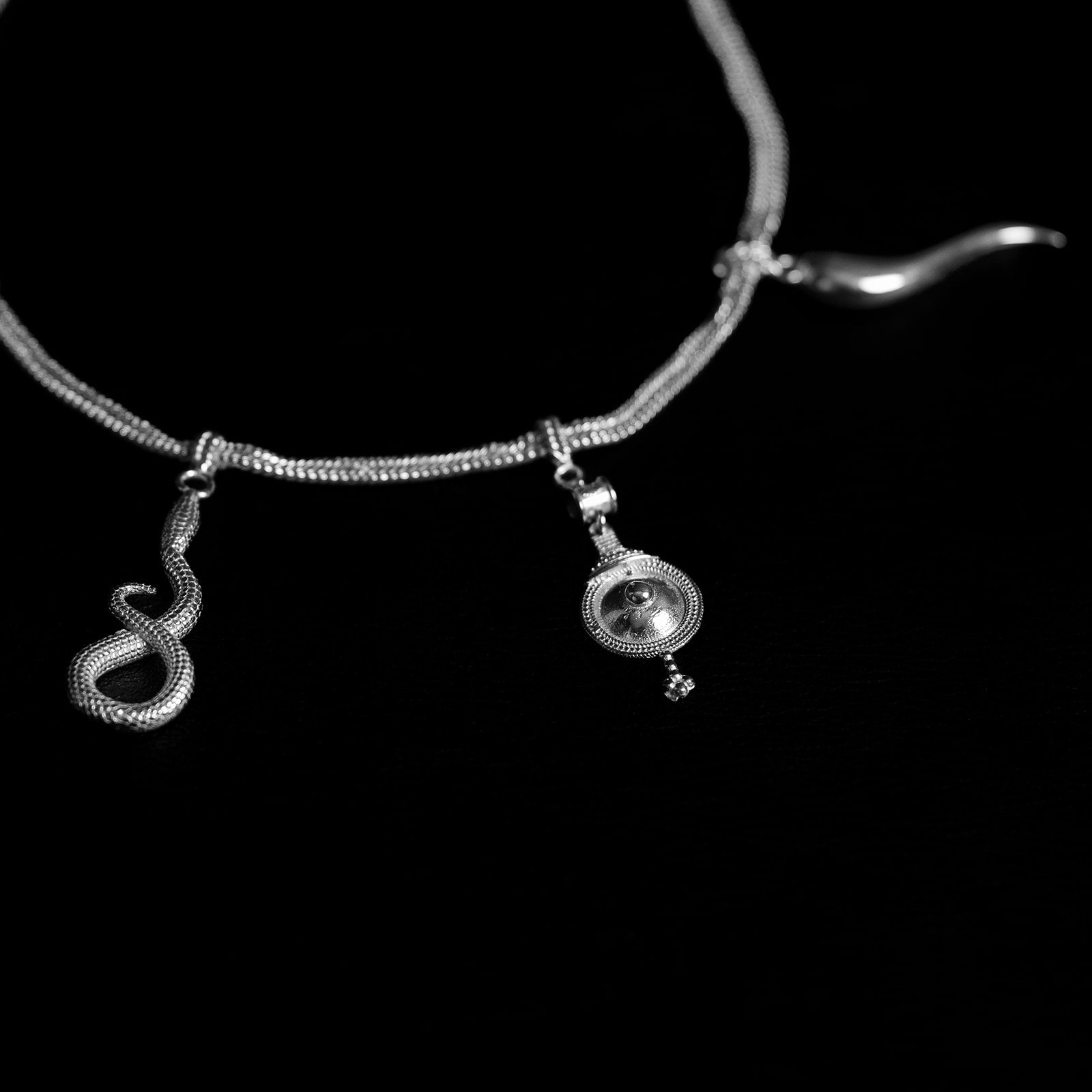 Charm | Collier Talisman - Argent 925