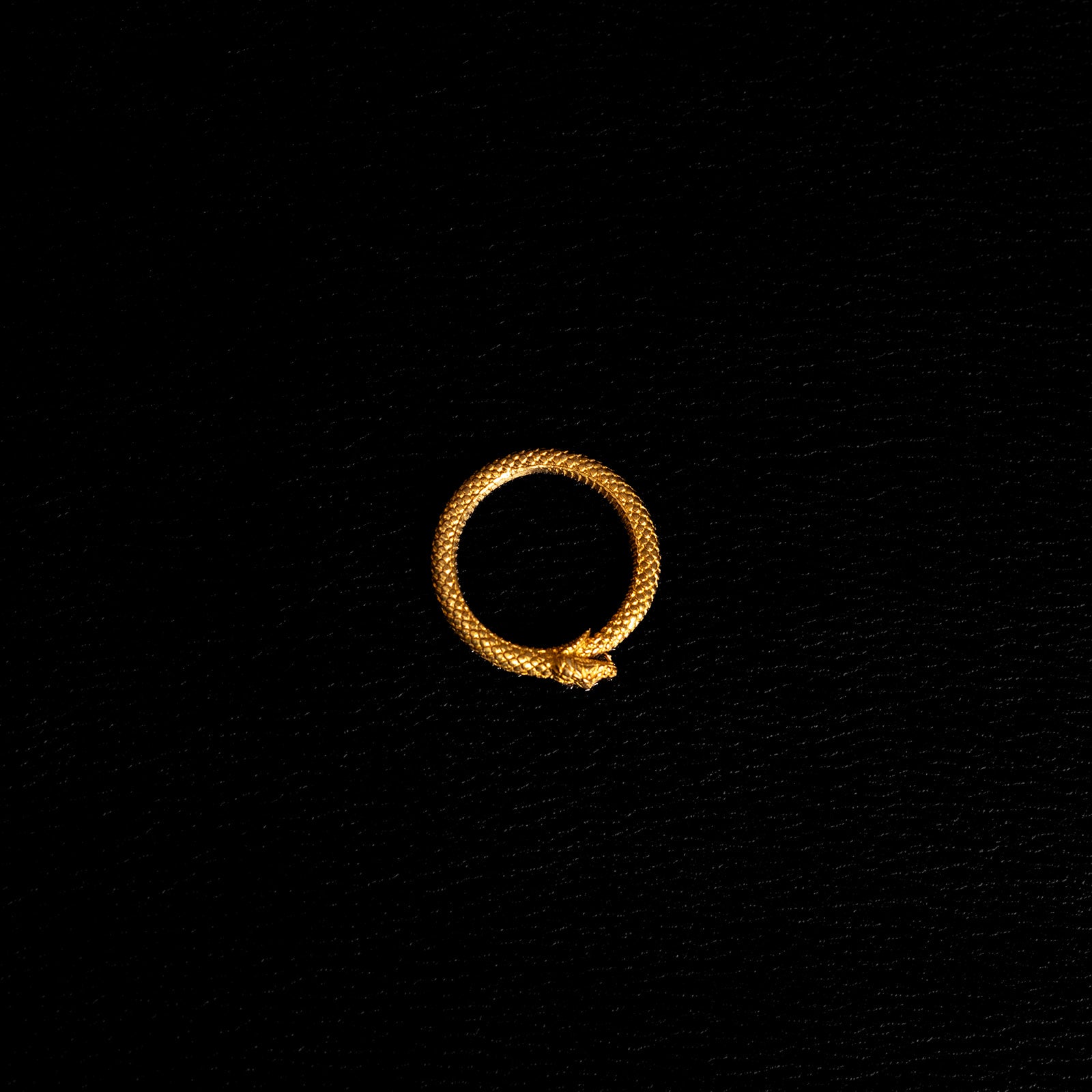 L'Ouroboros [S] | Bague - Laiton