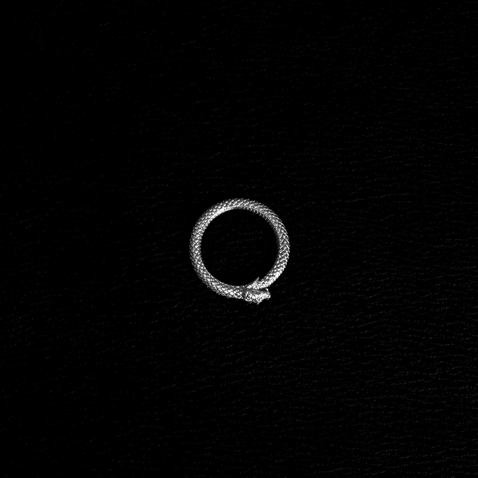 The Ouroboros [S] | Ring - 925 Silver