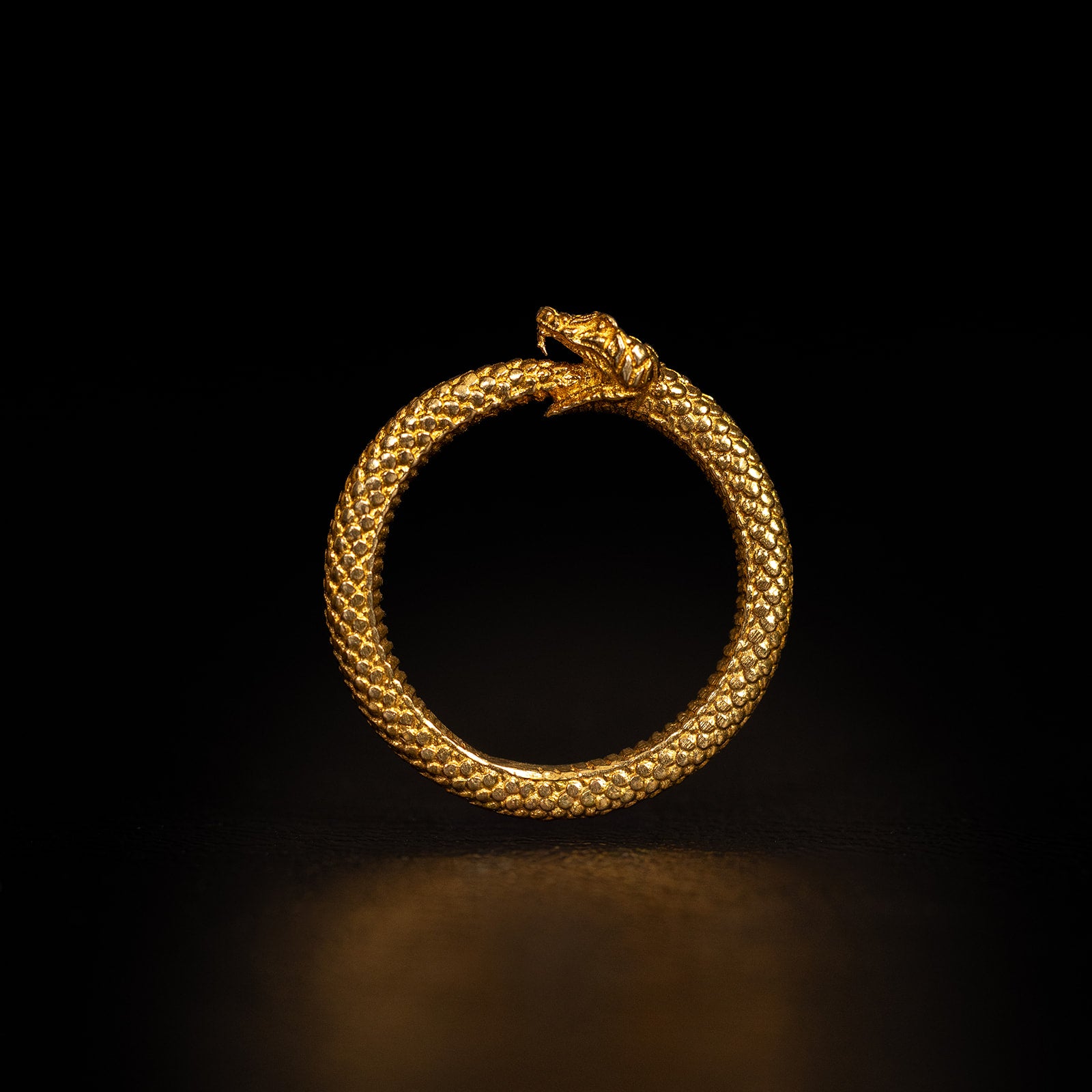 L'Ouroboros [S] | Bague - Laiton